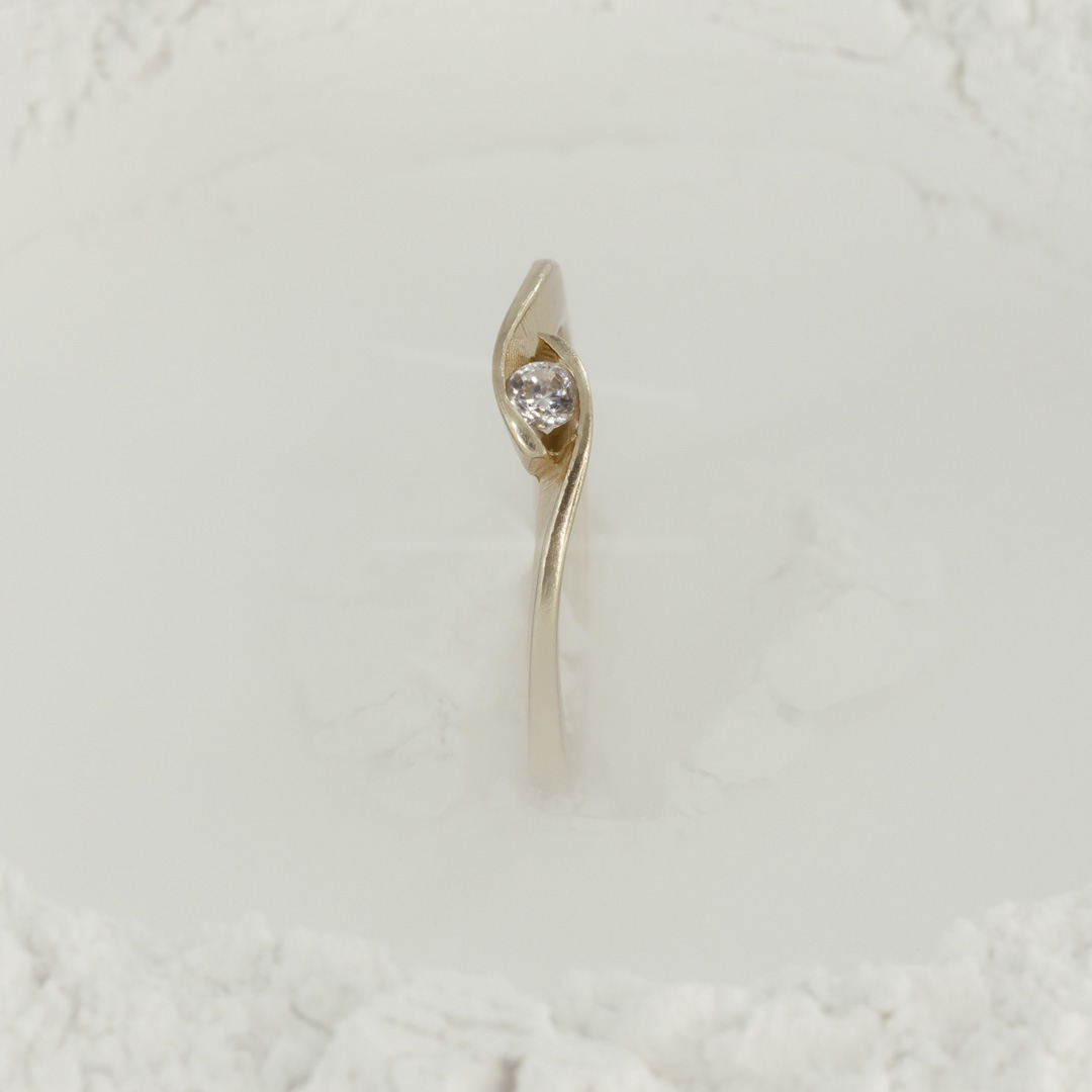 ANILLO OLAS